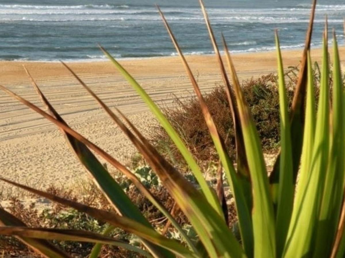 Maison Renovee Avec Terrasse A 700M Des Plages, Marche Et Activites - Tennis Et Piste Cyclable A 10M - Fr-1-239-385 Seignosse Exteriör bild